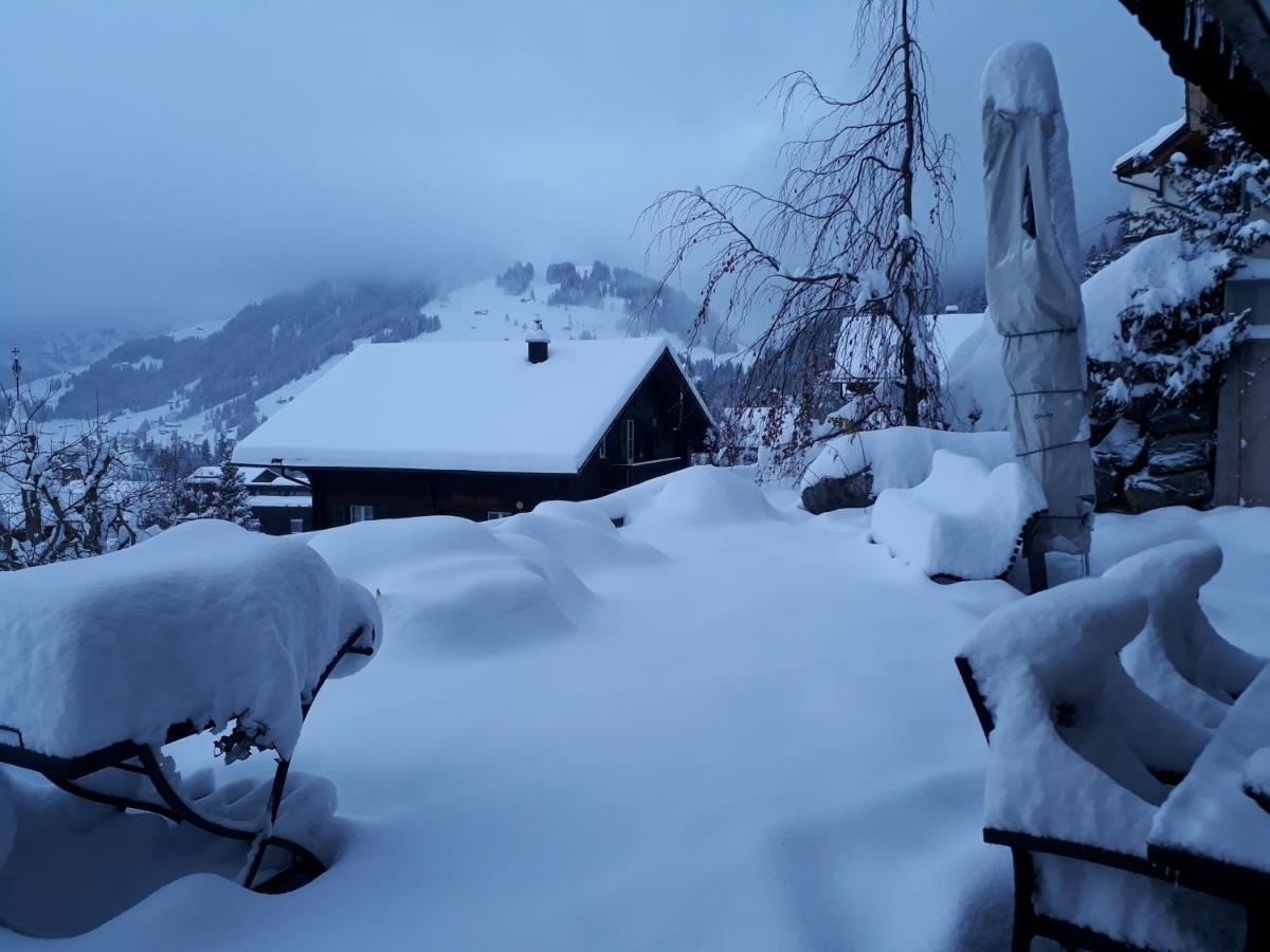 Chalet Gotthelf Gartenstudio, Ferien Mit Hund Adelboden Exterior photo