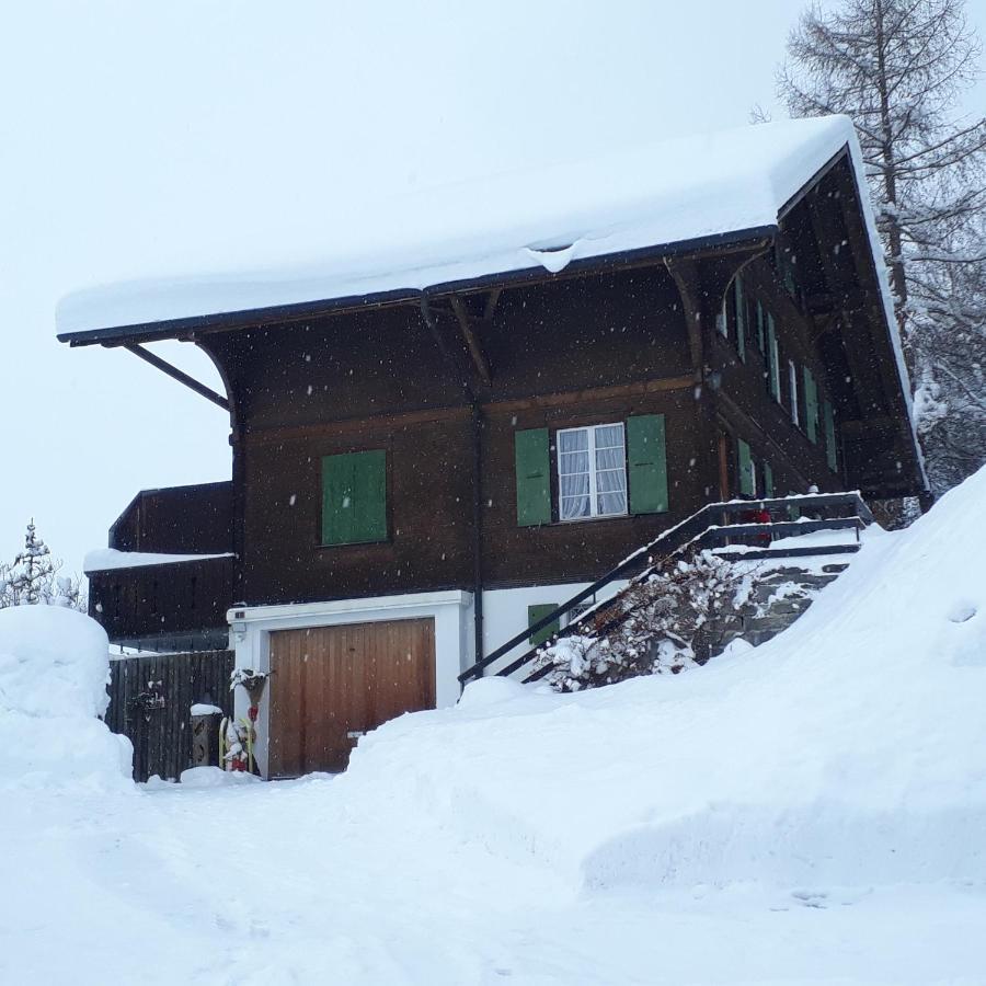 Chalet Gotthelf Gartenstudio, Ferien Mit Hund Adelboden Exterior photo