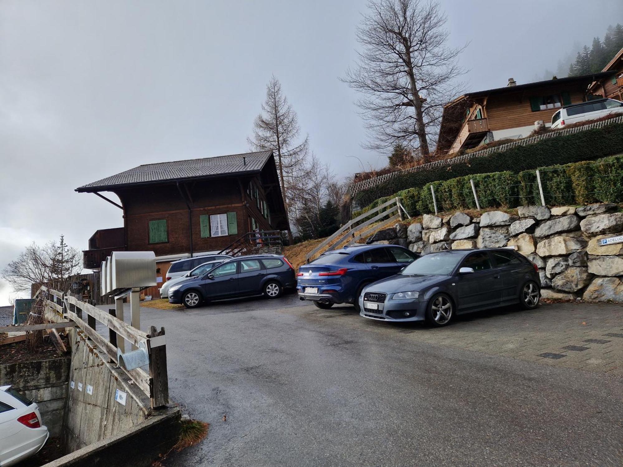 Chalet Gotthelf Gartenstudio, Ferien Mit Hund Adelboden Exterior photo