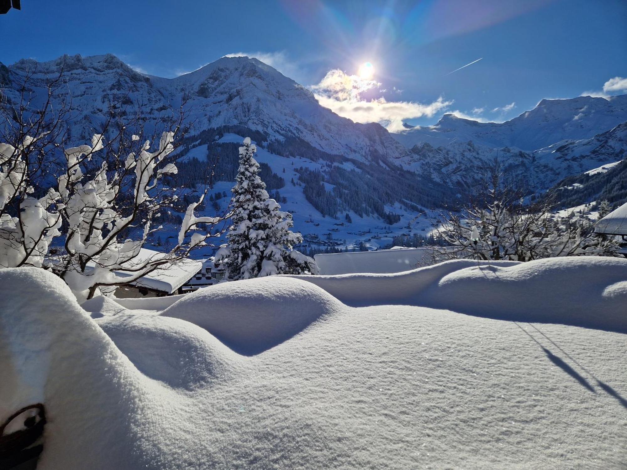 Chalet Gotthelf Gartenstudio, Ferien Mit Hund Adelboden Exterior photo